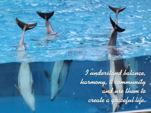 dolphin affirmations