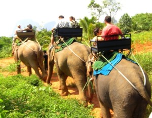 riding elephants
